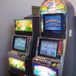 WMS 550 Single + dual screen