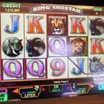 IGT Trimline screenshot