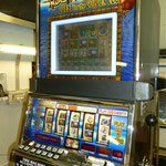 IGT Reel Touch Denver Duck