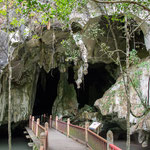 Langkawi | Bootsfahrt im UNESCO Kilim Karst Geoforest Park | Fledermaushöhle