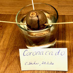Acocado-Challenge: CORONACADO von cs