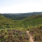 Montée vers la corniche de Vitrolles