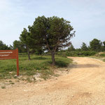 Forêt communale "Le Canton"