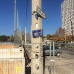La rue Mahboubi-Tir, nom du célébre épicier du quartier !!