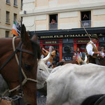 Il y avait heureusement des chevaux entre ces vaches et le public