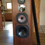 JM Lab Focal Onyx 710