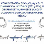 Examen de grado del Dr. Eduardo Méndez Da Silveira con la disertación de su trabajo de tesis titulado "Concentración de Cu, Cd, Ag Y Zn y composición isotópica (δ13c y δ15n) en diferentes tiburones de la costa occidental de Baja California Sur, México"