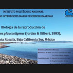 Examen de grado de la M.C. Danay de la Caridad Martínez Riveaux con la disertación del trabajo de tesis titulado "Biología de la reproducción de Pseudobatos glaucostigmus (JORDAN & GILBERT, 1883) en Santa Rosalía, Baja California Sur, México”