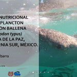 Examen de grado de la M.C. Anabel Suárez Ybarra con la disertación de su trabajo de tesis titulado "Aporte nutricional del zooplancton al tiburón ballena (Rhyncodon typus) en Bahía de La Paz, Baja California Sur, México"