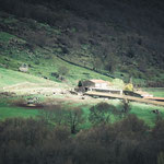 On the way to Calzada de Béjar