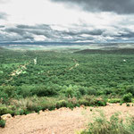 Nature Park "Sierra Norte de Sevilla"