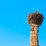 Villager ...