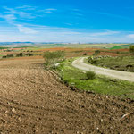 On the way to Fuente de Cantos