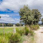 On the way to Valverde de Valdelacasa