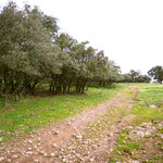 Towards Grimaldo
