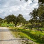 Leaving Aljucén
