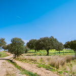 On the way to Aljucén