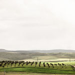 View from Galisteo