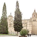 New and old Cathedral of Salamanca