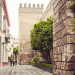 Fortress wall of the Royal Palace "Real Alcázar", Seville