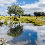 On the way to Valverde de Valdelacasa