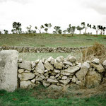 On the way to Valdelacasa