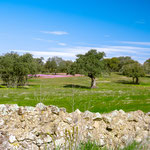 On the way to Aljucén