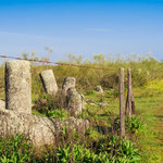 Remains of Roman milestones on the way
