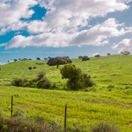 Towards Castilblanco de los Arroyos