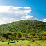 Leaving Aljucén
