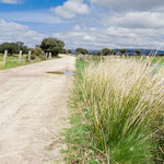 On the way to Valverde de Valdelacasa