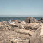 Atlantic Coast