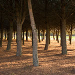 On the way to the cistercian monastery, Granja de Moreruela