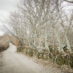 On the way to Fuenterroble de Salvatierra