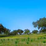 On the way to Aljucén