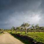 Leaving Alcuéscar