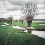 On the way to Valverde de Valdelacasa