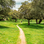 On the way to Cáparra