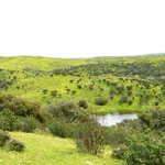 On the way to Galisteo