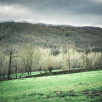 On the way to Calzada de Béjar