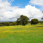 On the way to Galisteo