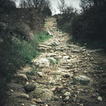 On the way to Calzada de Béjar