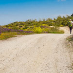 On the way to the Tajo water reservoir
