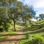 Towards Castilblanco de los Arroyos