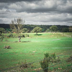 On the way to Valverde de Valdelacasa