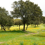 On the way to Galisteo