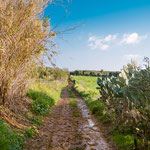 Leaving Guillena