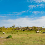 On the way to the Tajo water reservoir