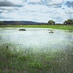 On the way to Valverde de Valdelacasa