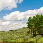 On the way to Alcuéscar